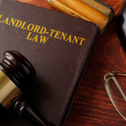 Landlord Tenant Law