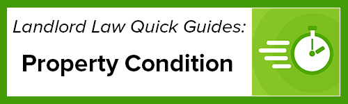 The Property Condition